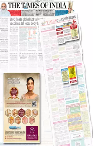 Divya Bhaskar tearsheet proof